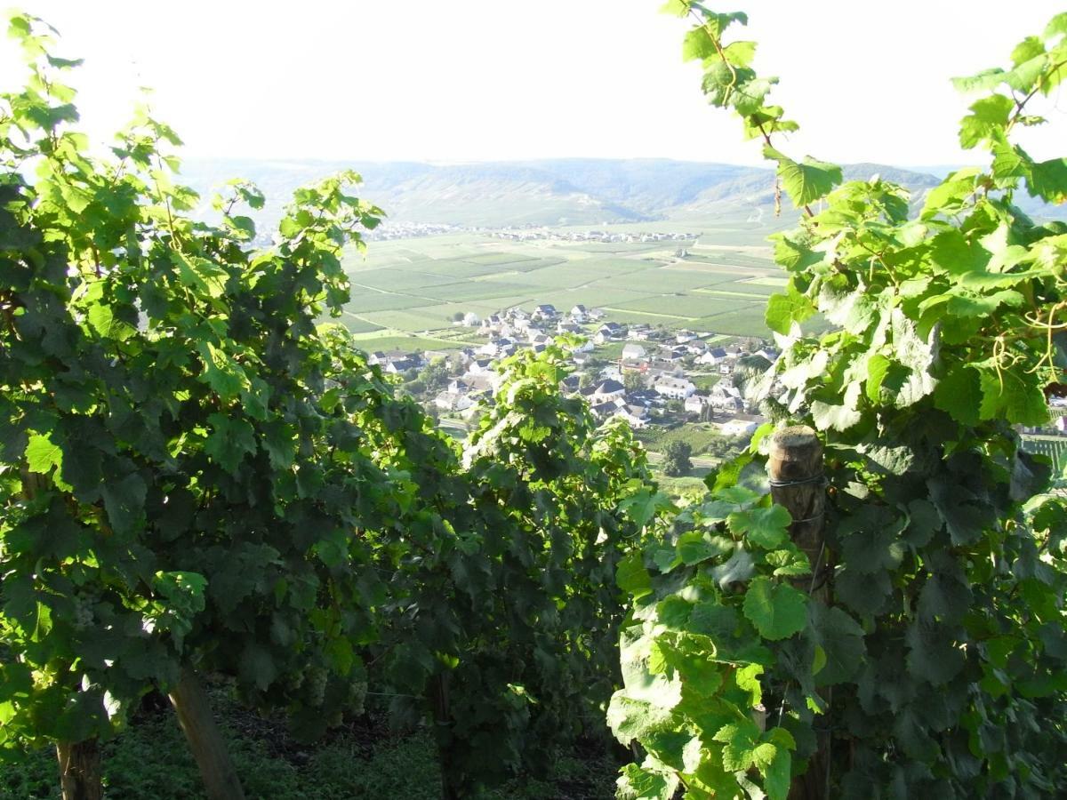 Ferienwohnung Bergblick تريتينييم المظهر الخارجي الصورة